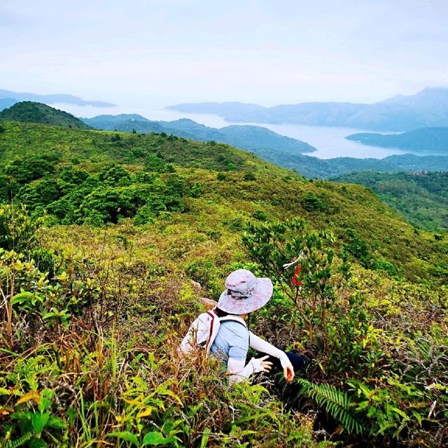 老虎騎石、斜樓嶺墩、大山峒、石屋山