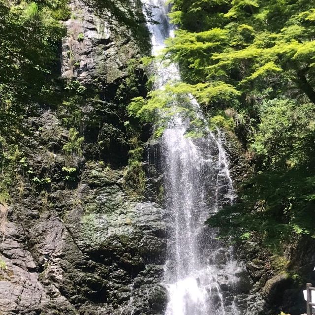 山本珈琲