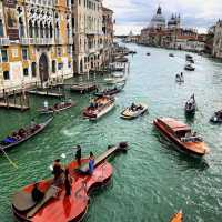 Ponte de rialto Life 🐬🐬
