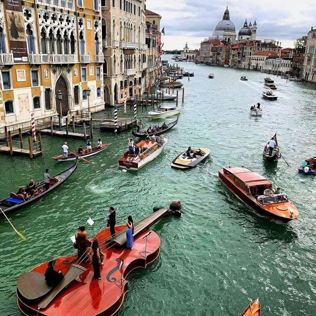 Ponte de rialto Life 🐬🐬