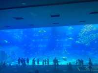 美ら海水族館