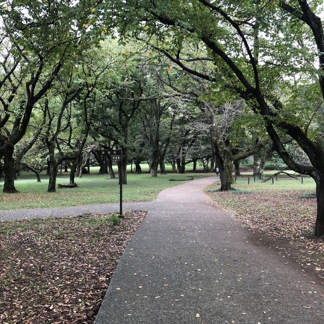 【きぬた公園】 【きぬた公園】