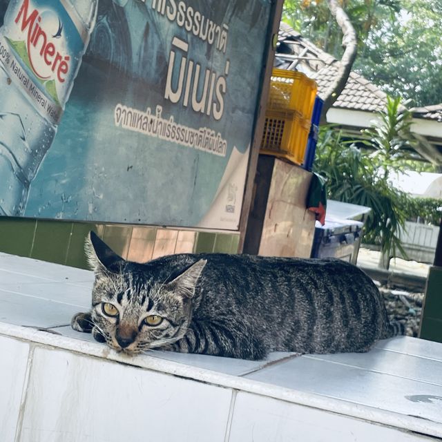 altTitle