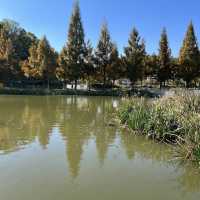 Irwol Lake View in Autumn