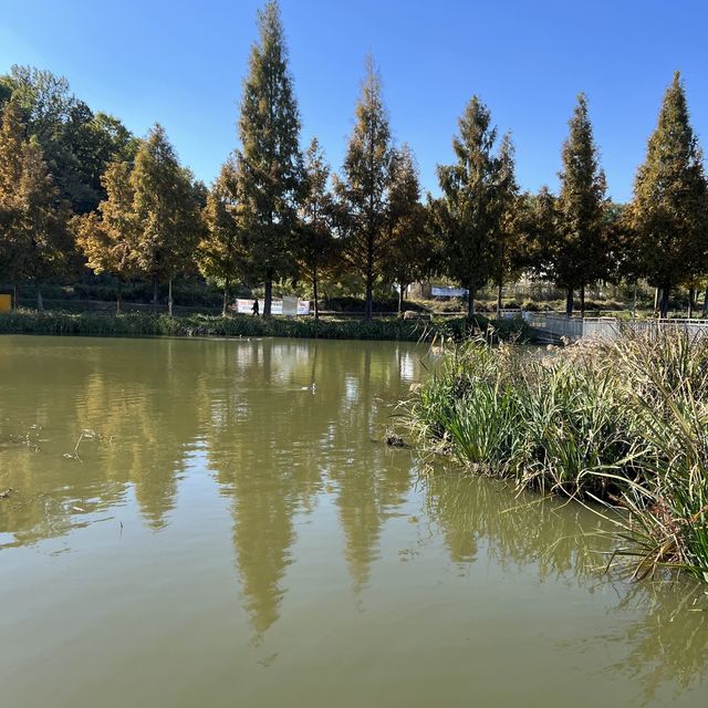Irwol Lake View in Autumn