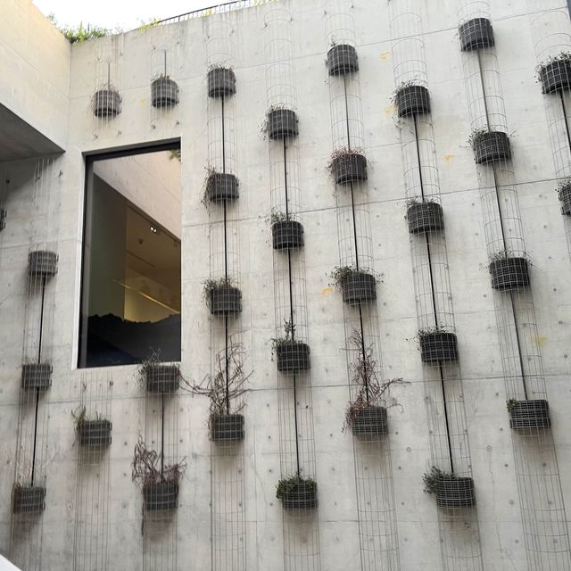 M+博物館｜欣賞展品｜打卡｜吸收新事物
