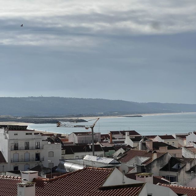 Nazare (The biggest waves of the world)