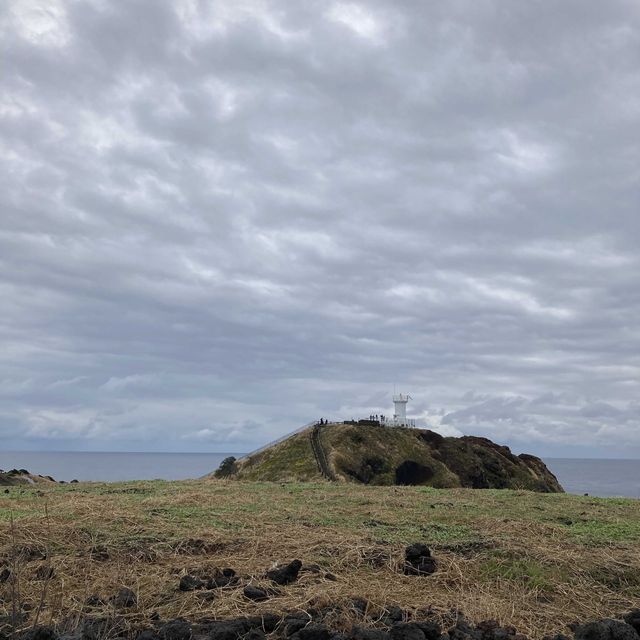 涉地可支