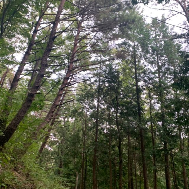 대중교통으로 100대 명산 오르기! 부산 금정산