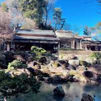 สวนญี่ปุ่นTokumei-en🌳