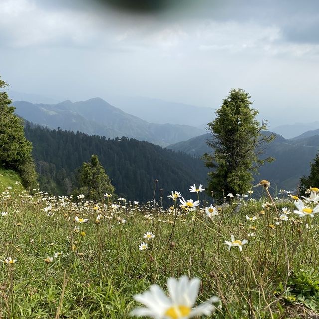 Beautiful small Town in Himachal, India Beautiful small Town in Himachal, India