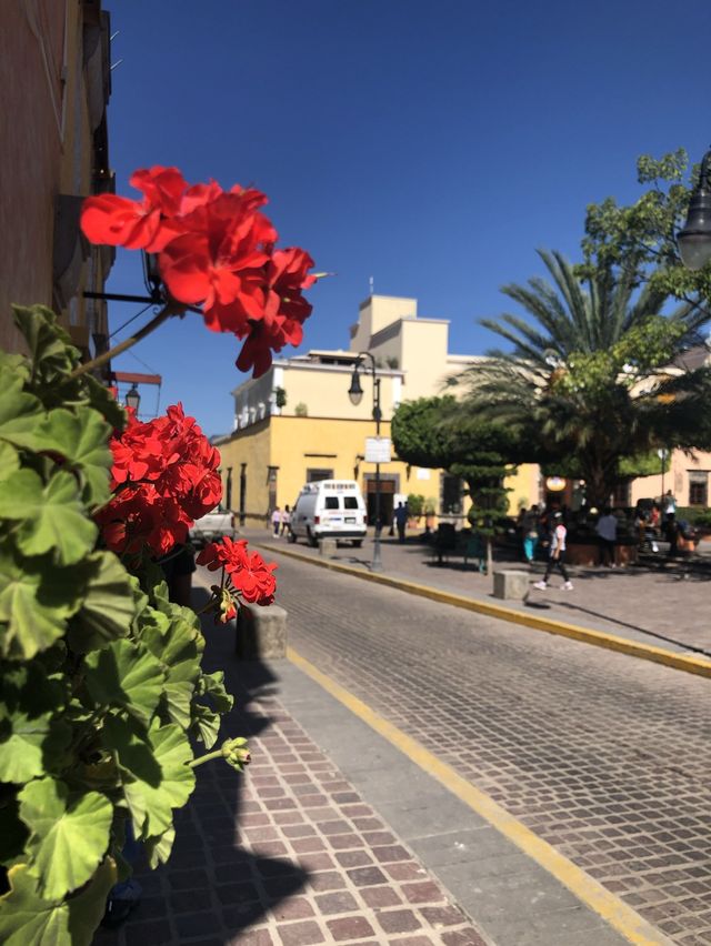 Tequila, Jalisco- Birthplace of Tequila 