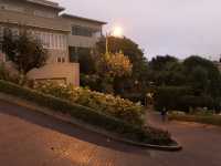 Lombard Street, San Fransisco