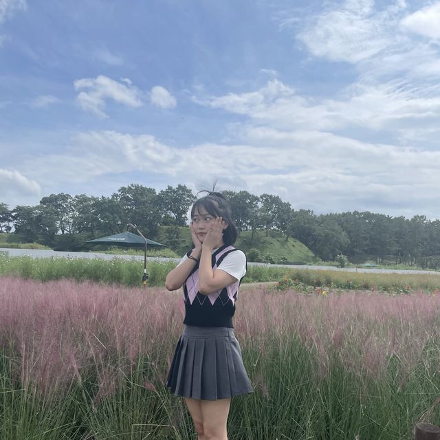 경주 핑크뮬리