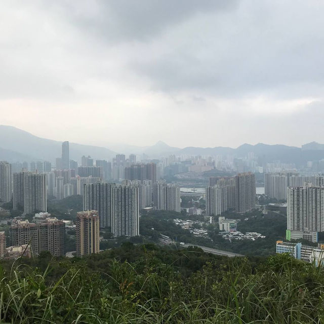 近距離欣賞青馬大橋—青衣自然徑