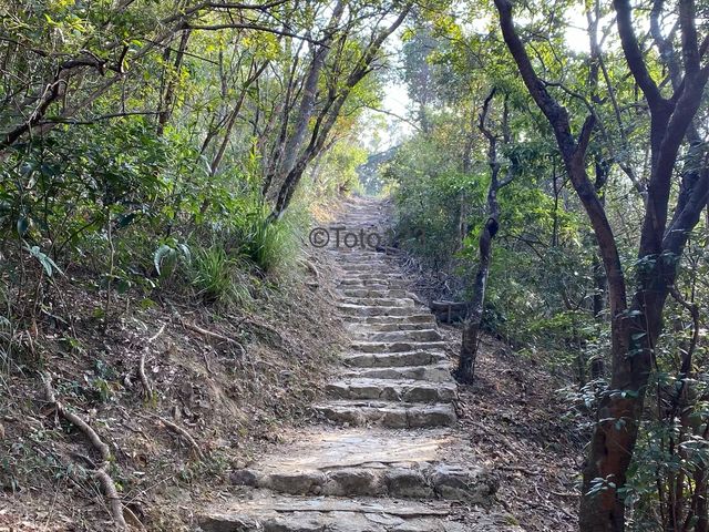 冬日家庭樂 - 流水響郊遊徑
