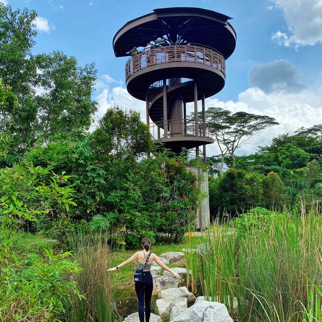 Simple hike, extraordinary sights 