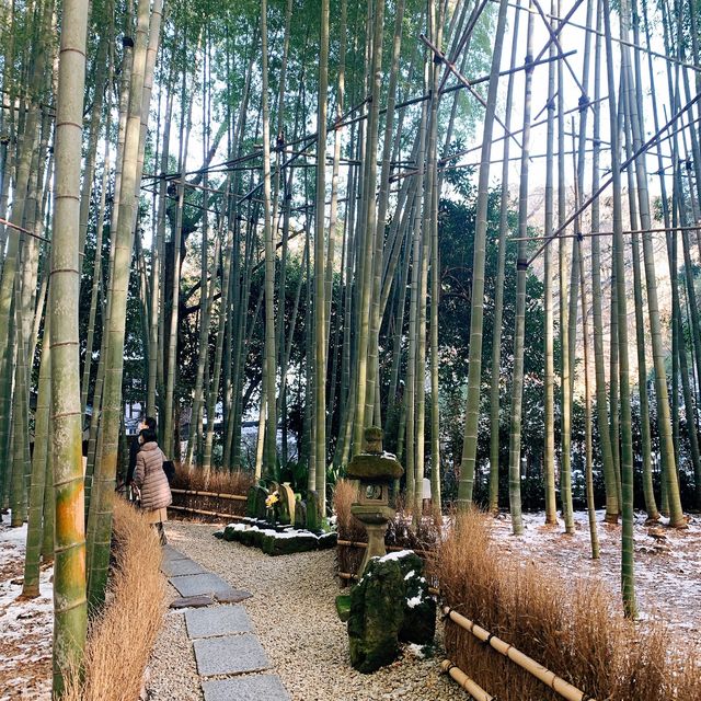 【神奈川県】報国寺