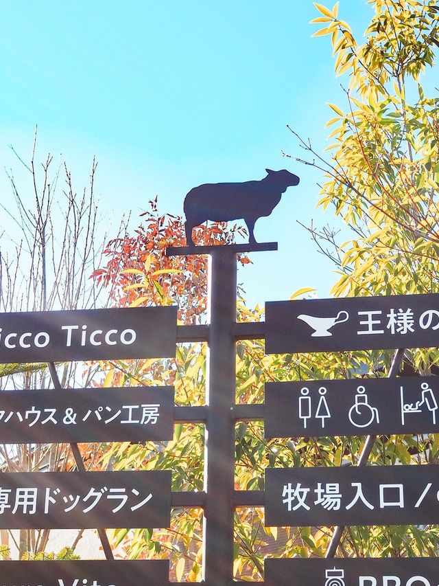 まかいの牧場