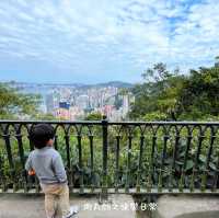 高空看香港