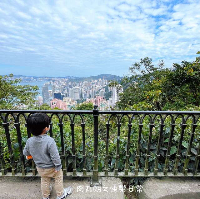 高空看香港