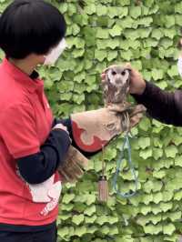【掛川花鳥園】「花と鳥とのふれあい」が楽しめるテーマパーク