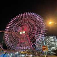 横浜の夜景を独り占め！