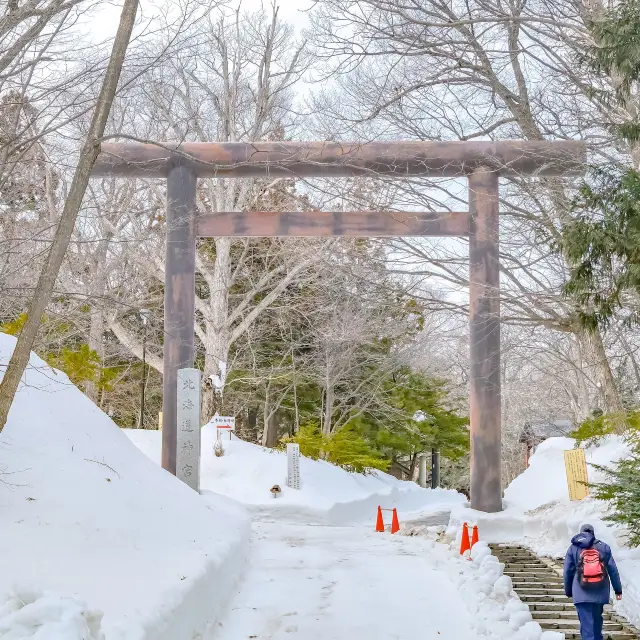 冬の円山公園から北海道神宮への参道