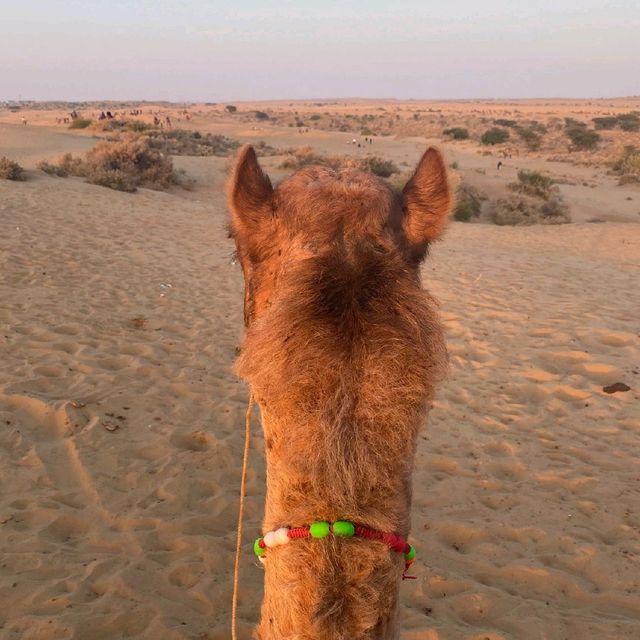 Jaisalmer 