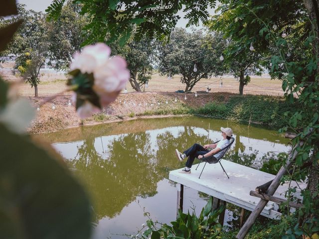 𝐅𝐢𝐨𝐧𝐚 𝐓𝐫𝐨𝐩𝐢𝐜𝐚𝐥 𝐂𝐚𝐟𝐞  จ.อยุธยา