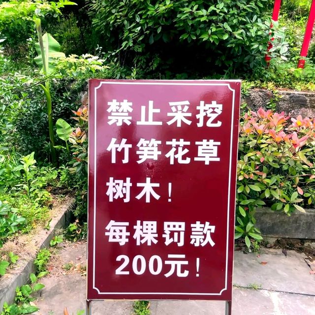 大別山石窟風景區