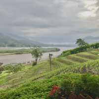 หมอกหน้าฝนริมแม่น้ำโขง ที่ไร่แสงอรุณ