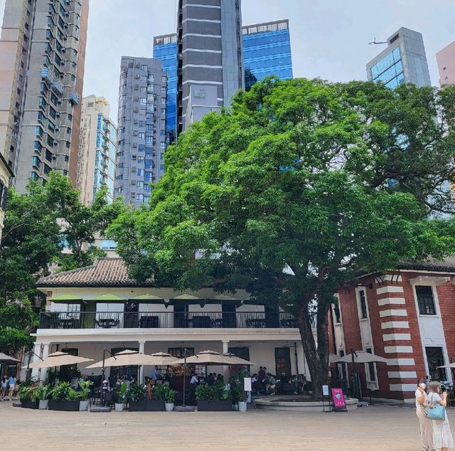 大館推出"森呼吸"展覽