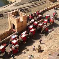 Meticulous Architecture of Amer Fort