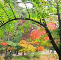 Autumn @Gyeongbokgung Palace 