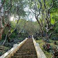 ชมวิวเมืองหลวงพระบางบนพระธาตุพูสี