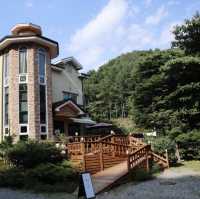 양평 끝자락에 숨은 계곡 카페 “리틀포레”