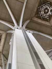 Fantastic features in iron mosque!