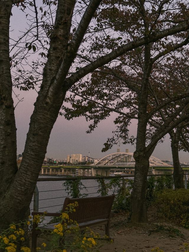 모든 계절이 예쁜 선유도공원🏞️