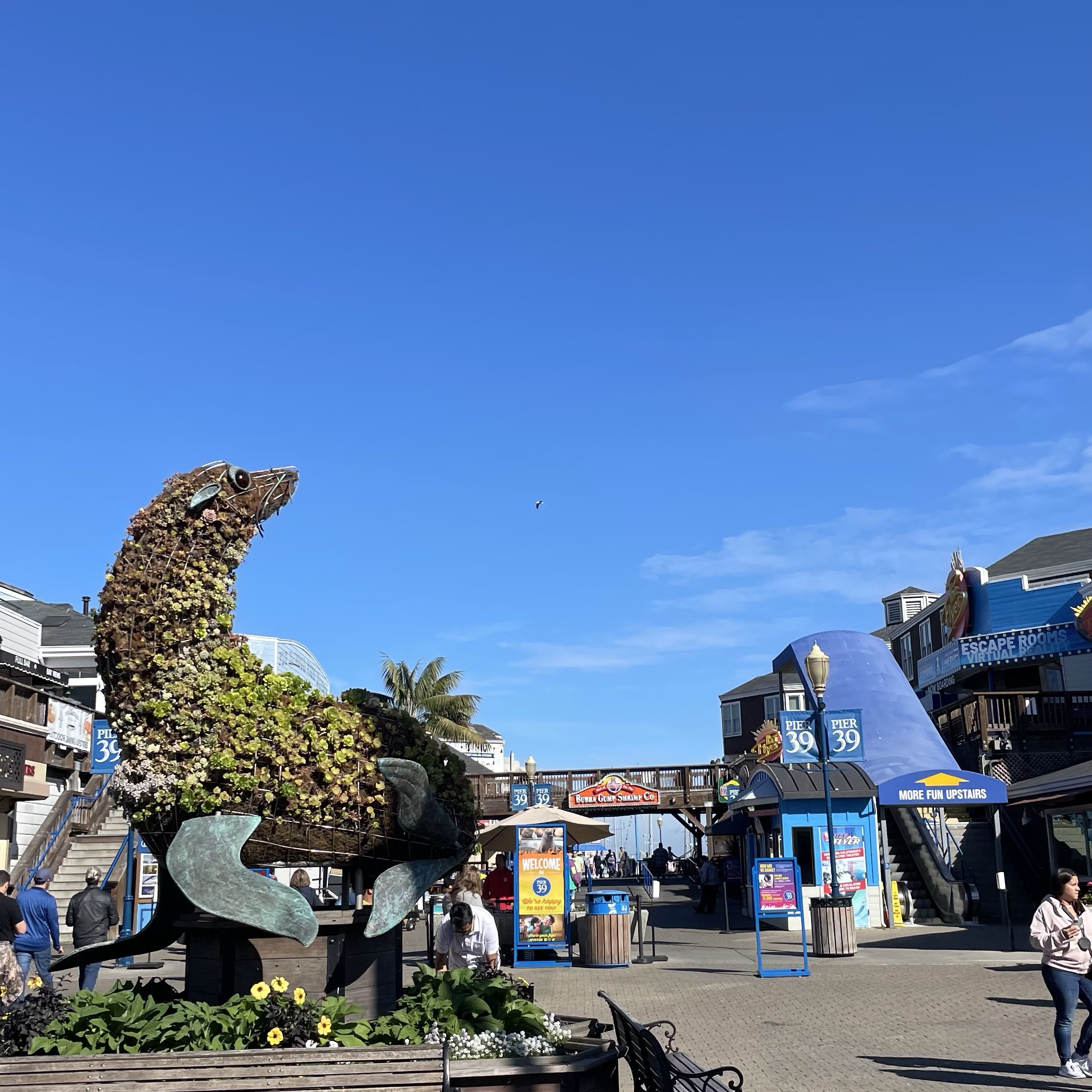 ピア39 Trip Com サンフランシスコの旅のブログ