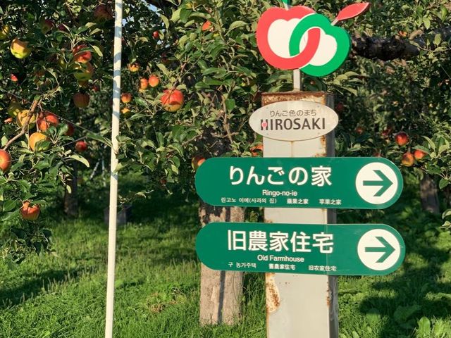 Apple picking in Japan? 🤤