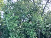 Adventure and Preserve our nature on vacation