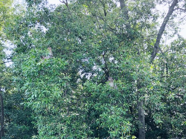 Adventure and Preserve our nature on vacation