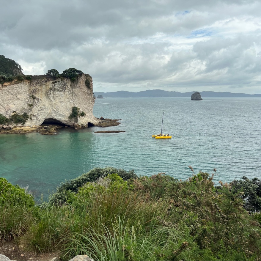 New Zealand, cathedral cove, coromandel.  