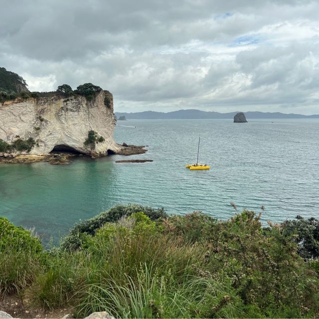 New Zealand, cathedral cove, coromandel.  