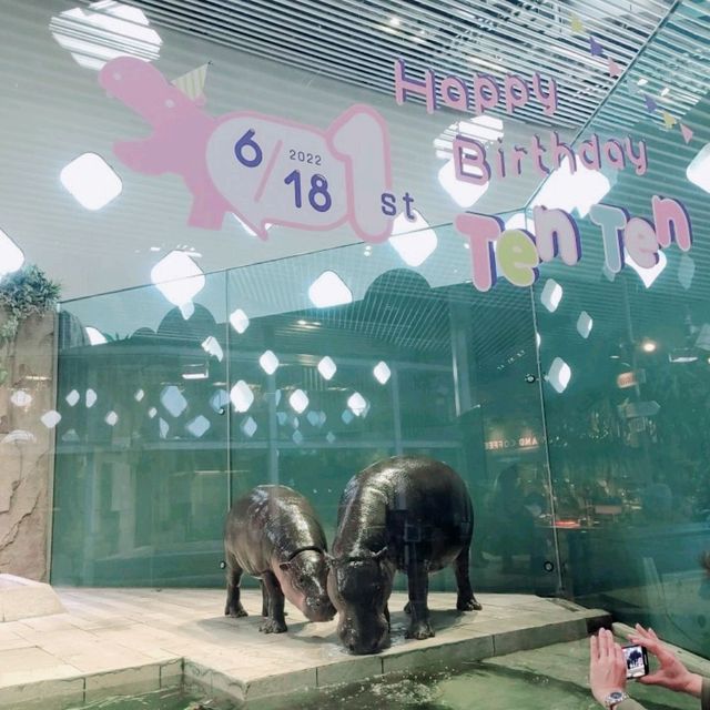 生きているミュージアムNIFREL　ピクニックカフェ