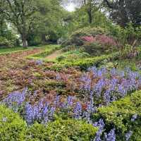 英國曼徹斯特 超大綠化公園 欣賞不同種類嘅植物