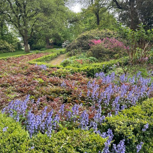 英國曼徹斯特 超大綠化公園 欣賞不同種類嘅植物