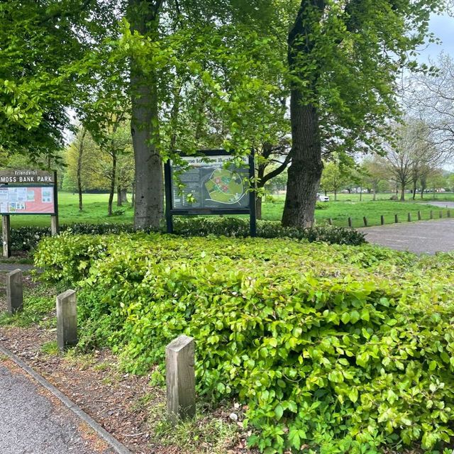 英國曼徹斯特 超大綠化公園 欣賞不同種類嘅植物