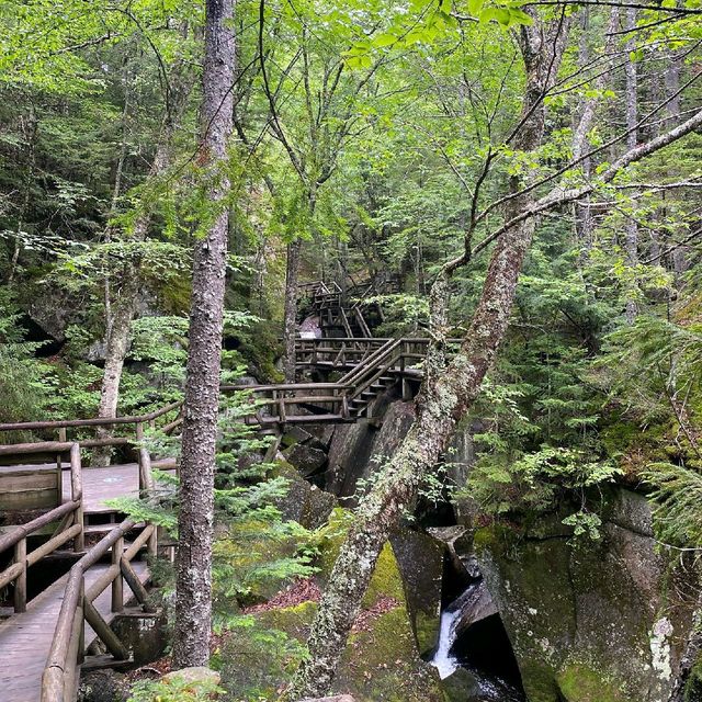 Lost River Gorge and Boulder Caves
